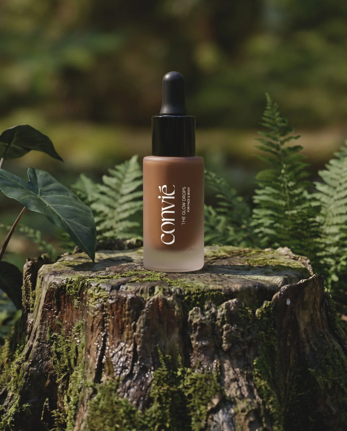Forest floor