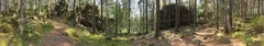 Forest shade