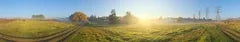 Golden hour